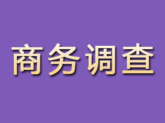 香河商务调查